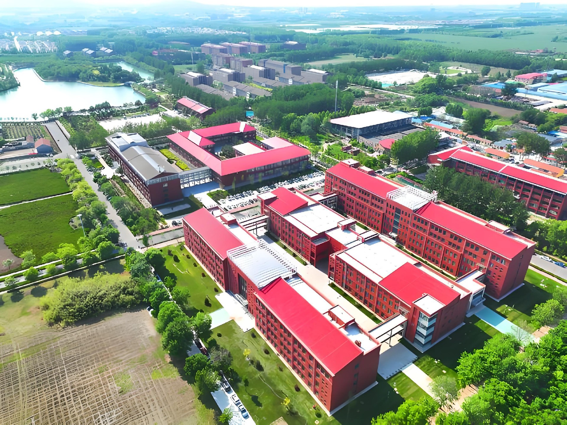 山东科技职业学院-1.jpg