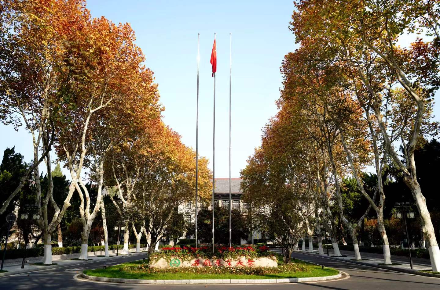微信图片_2026-09-21_103513_637.jpg