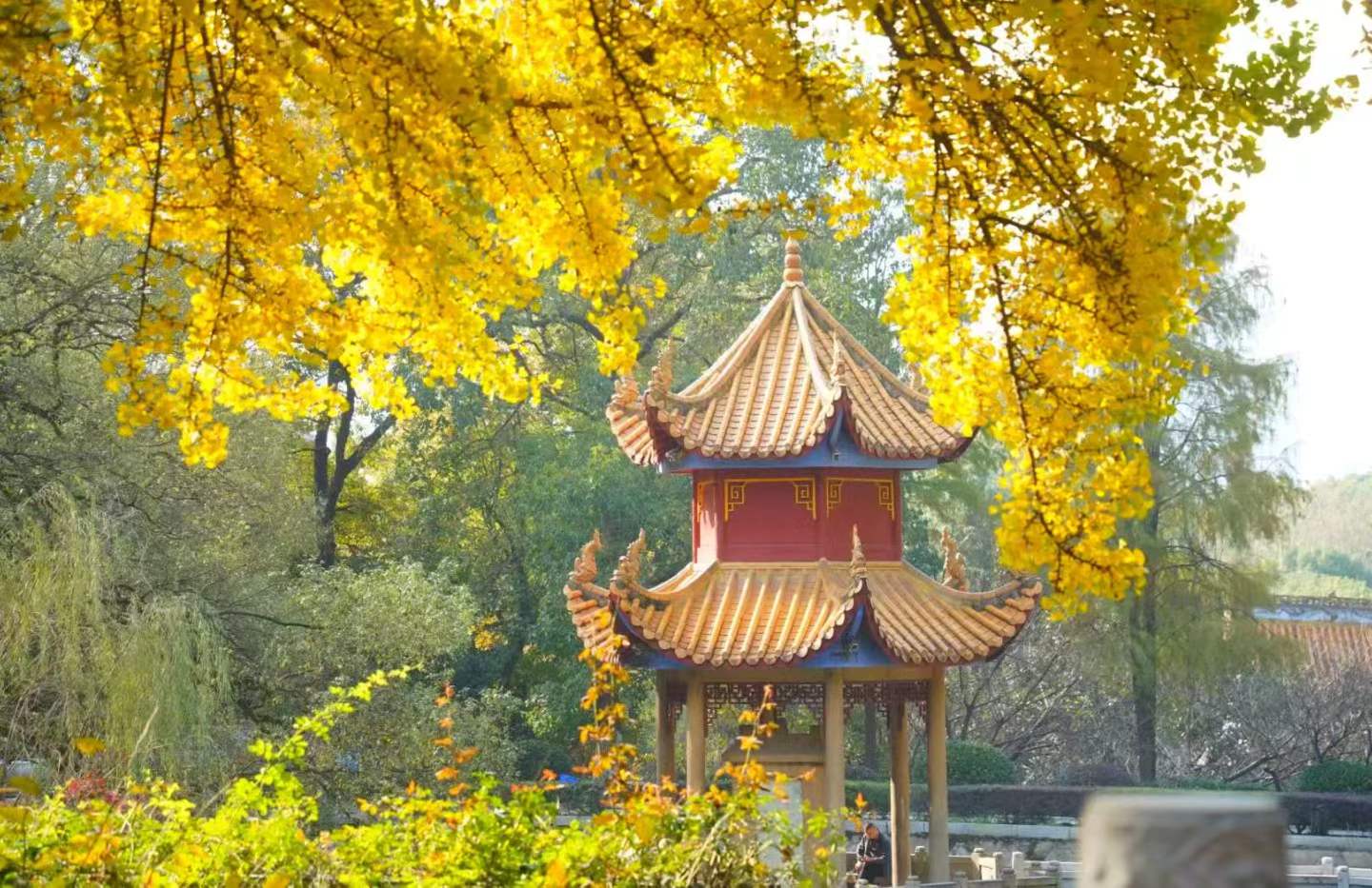 微信图片_2026-10-19_171438_729.jpg